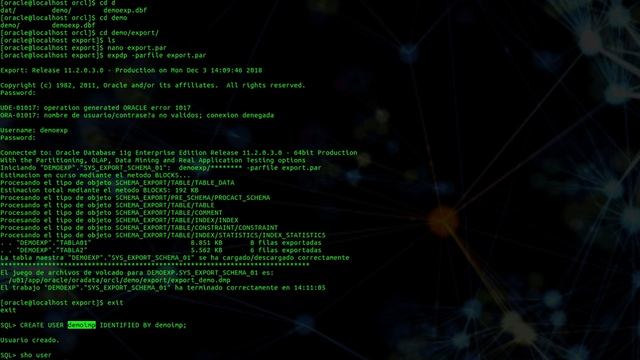 Exportar e Importar en Oracle 11g смотреть онлайн