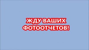 Дистанционные занятия по актерскому мастерству в младшей группе, тема: "Развитие памяти"