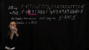 Задание 27. Вариант №3. Генетический код. Решаем задачи ЕГЭ Биология 2020.