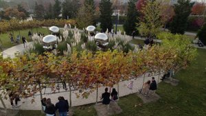 Экскурсия в парк «Краснодар» (г. Краснодар)