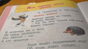 1 класс. Литературное чтение. Живая азбука. И. Гамазкова, Е. Григорьева.