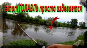 Этот ГОЛАВЛЬ просто издевается. Вот "ГАД"!