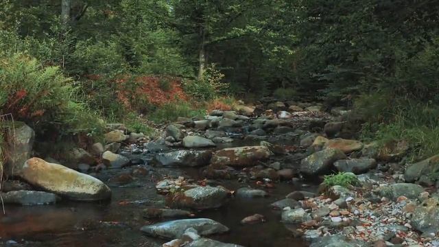 Погружаемся в мечту  Изумительная Музыка и красивая природа  Amazing Music and wild nature Part 2 смотреть онлайн