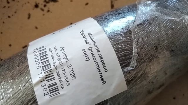 Малинове дерево Агромаркет #малинове дерево #малина#Agromarket смотреть онлайн