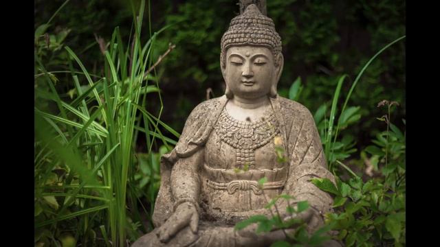 Soothing Meditation Music | Peaceful Music | Bamboo Flute and Nature Sounds