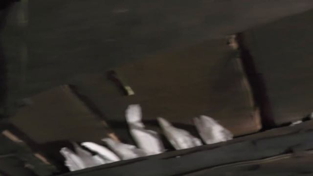 Содержимое нашей лагерной кухни. 23. 09. 2016 смотреть онлайн