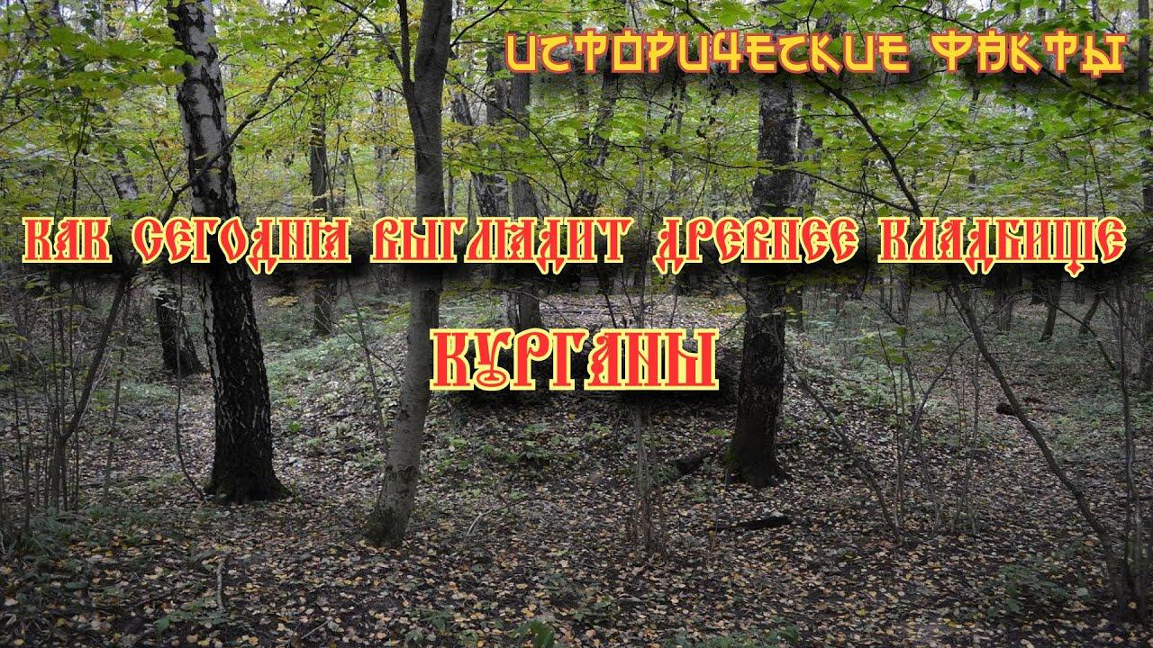 Древние захоронения, курганы. смотреть онлайн