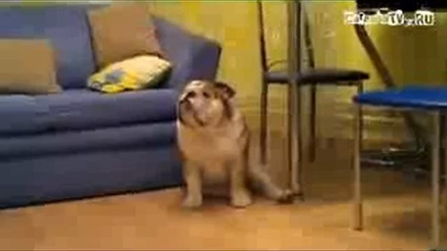 Epizod 124 смотреть онлайн