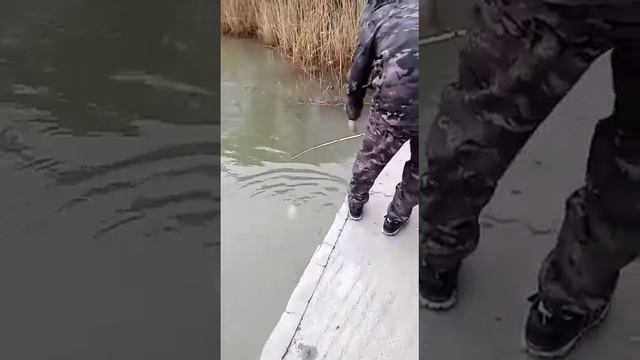 волгоград на рыбалку смотреть онлайн