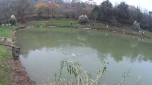 Озеро в Италии, рыбалка на форель / La più grande trota della mia vita. Trota da 1,5 kg.