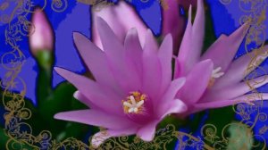 Красивое поздравление с днем МАТЕРИ! Мама - первое слово!