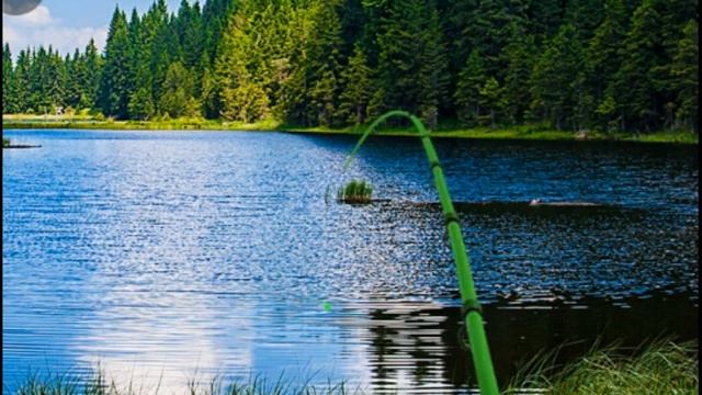 Игра  рыбалка    крутой   рыбак