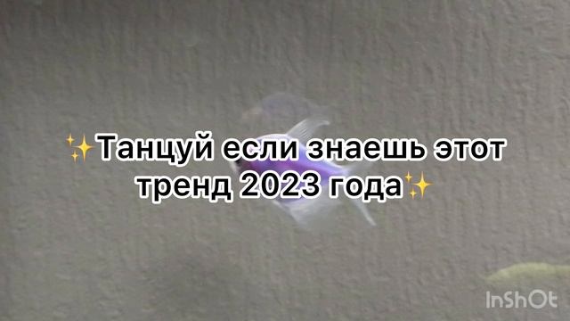 ☀️ТАНЦУЙ ЕСЛИ ЗНАЕШЬ ЭТОТ ТРЕНД 2023☀️ смотреть онлайн