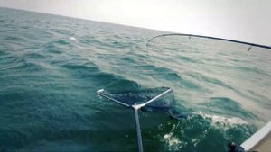 Рыбалка  Гусиное Озеро  Селенгинский район