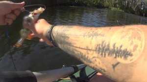 ОКУНЬ НА ДИКОМ ОЗЕРЕ В АВГУСТЕ. Микроджиг vs Гирлянда. ГИРЛЯНДА КОСИТ окуня.