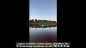 dissa лучшая подборка (ч1) // тик ток // вайны