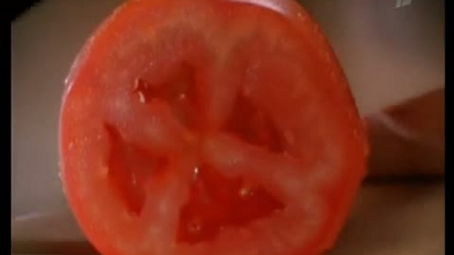 Что такое ГМО