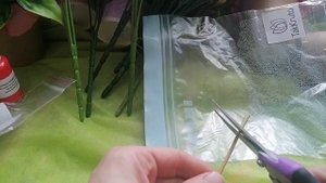 распаковка посылки и заливка большой розы