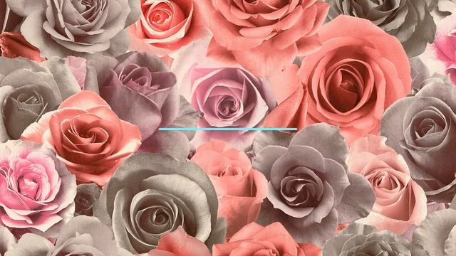 Легкая ветровка для энергичных женщин. смотреть онлайн