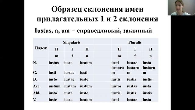 Прилагательные 1 и 2 склонения в латинском языке