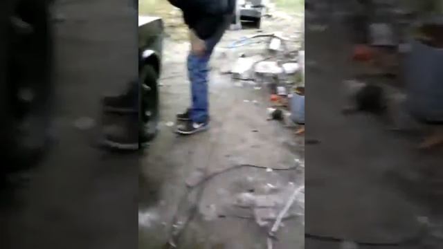 Каракатица!!! смотреть онлайн