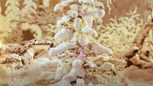 Песенка Ёлочка ёлка лесной аромат Новый год!