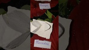Мел 6 новых сортов. Мел Услада,Настёна,Аленка,Воздушный,Классик ,Элен