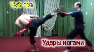 Техника ног кунг-фу. Удары по лапам