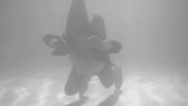 Уроки танго ♬ The tango lesson* смотреть онлайн