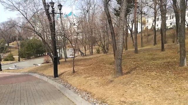 Умные деревья Дальнего востока смотреть онлайн