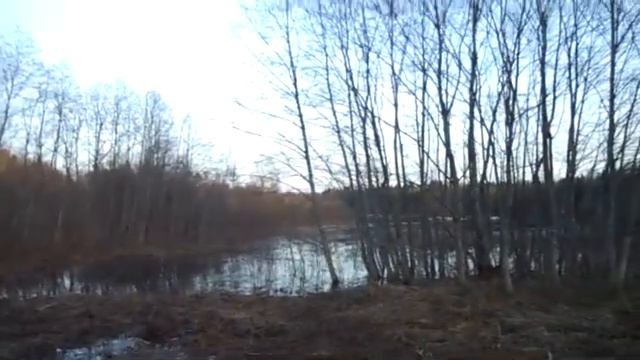 Двиница
