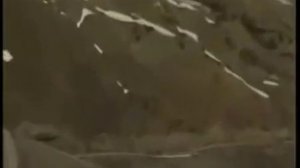 Бек Борбиев Айда такси