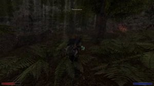 Незваные гости! Прохождение Готика 2 Хроники Миртаны: Архолос #53