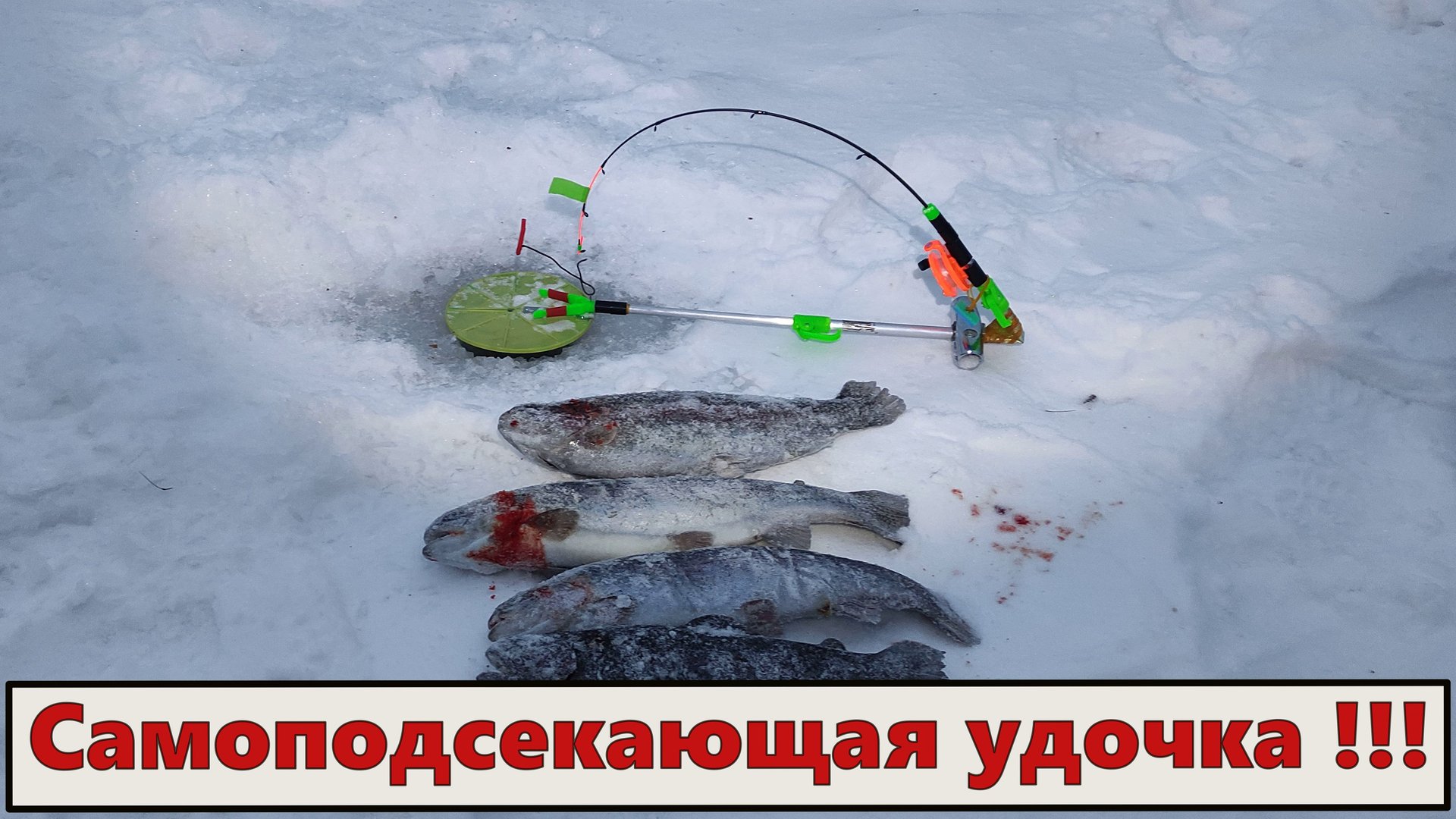 Хитрая удочка ловит сама. Для форели 2023. смотреть онлайн