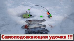 Хитрая удочка ловит сама. Для форели 2023.