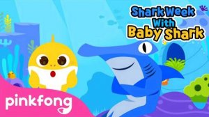 Meet the Shark Family | Shark Week with Baby Shark | Pinkfong Songs for Children