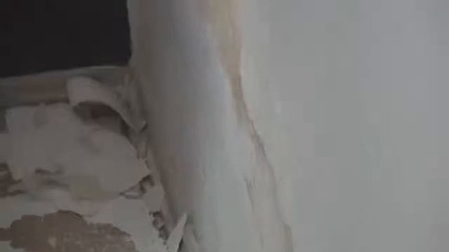 Reparación de humedad con Planiseal 88 смотреть онлайн