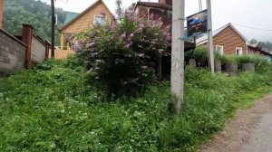 Байкал. Листвянка. Большие коты. Большая байкальская тропа.