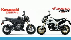 Kawasaki Z125 pro vs Honda MSX125 Grom