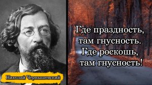Николай Чернышевский. Где праздность, там гнусность. Где роскошь, там гнусность!