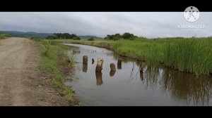 Приморье, Большой Камень, мыс Седловидный.