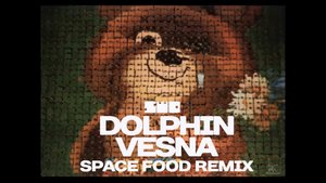 Space Food Remix - Dolphin - Vesna | rework: PROfan?