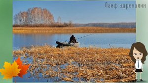 Какая рыба лучше всего ловится в октябре? Какую рыбу можно ловить в октябре?