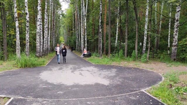 "Чёрный" вход в Парк Маяковского с пер. Базовый, задворки парка, Екатеринбург