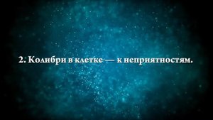 К чему снится колибри - Онлайн Сонник Эксперт