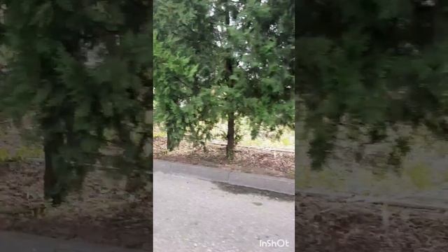 ПроПутешествия.Дагестан,сан.Каспий.День2й.Фильм4.Серия1.mp4