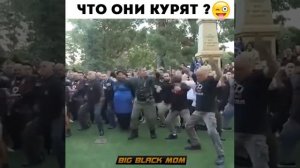 Что они курят?