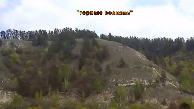 Жигулевский заповедник имени И.И. Спрыгина смотреть онлайн