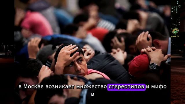 Москва задыхается от мигрантов! Срут где попало творят что хотят!