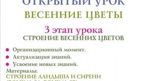 Открытый урок. Весенние цветы. Структура урока.